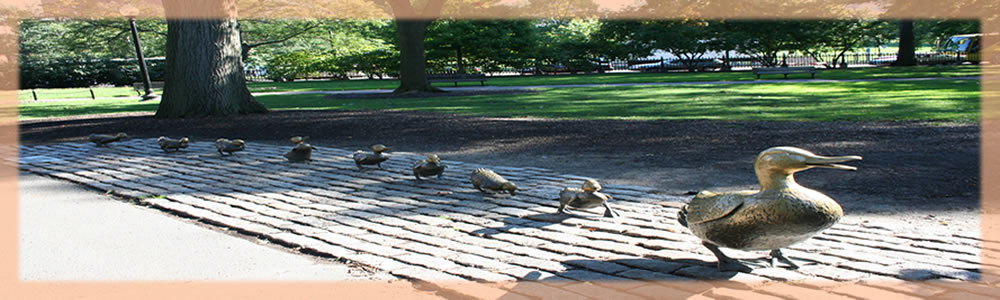 The Duck Walk